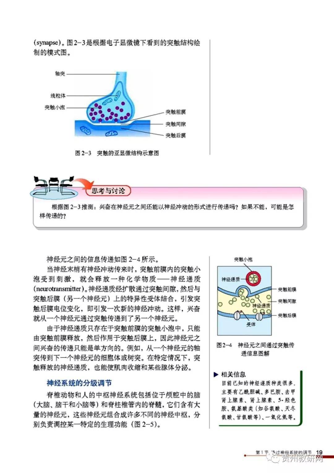 人教版高中生物必修3《稳态与环境》电子课本(高清pdf版)