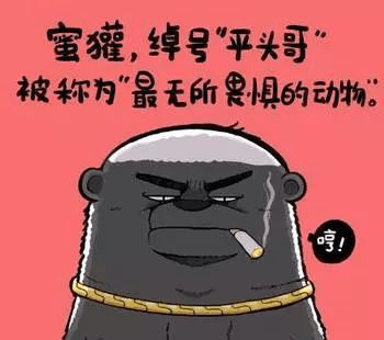 原创三年造出中华量子"芯",阿里"平头哥"到底是何方神圣