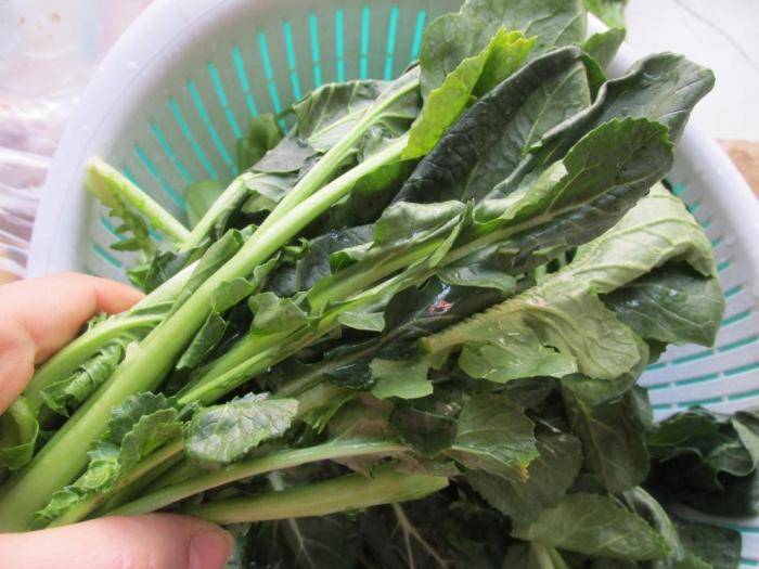 苔菜|刮油防便秘,越吃越苗条,乳腺健康不生病多吃这个菜