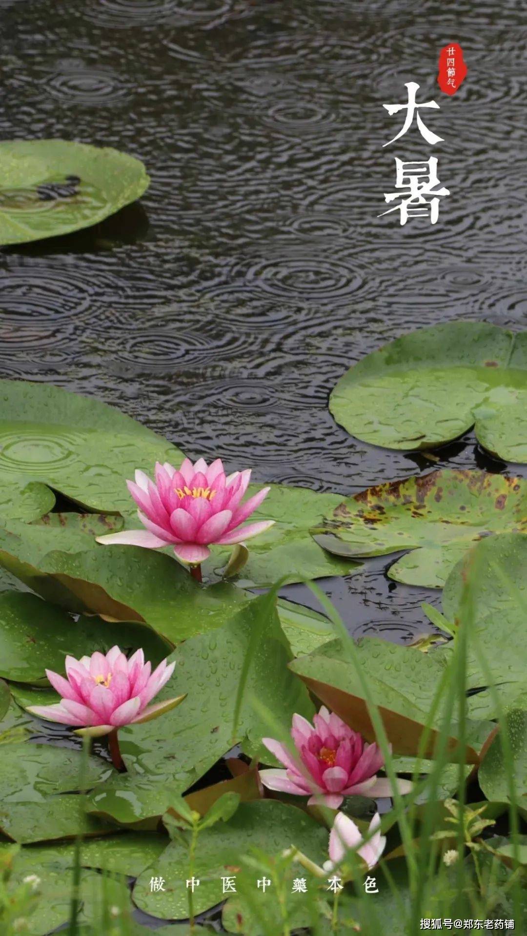 大暑节气丨夏天最热热热的日子来啦!冬病夏治正当时