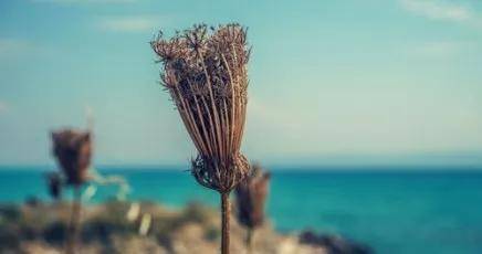 志愿|以一本成绩上高于一本线100多分的学校，这样的“幸运”为何会发生？