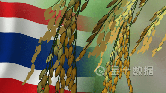 创新|原创14281万吨，中国夏粮总产量创新高！泰国却下调了大米出口量预测
