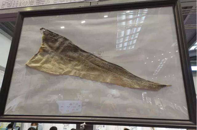 趋势|首日观众破2万，深宠展上这些小趋势值得关注