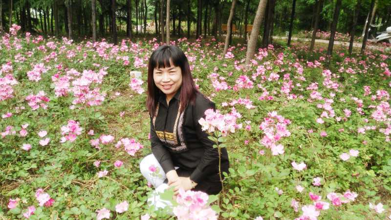 教育|博客大赛显身手 向阳花木早逢春-二七区实验小学“美好教育”砥砺前行中