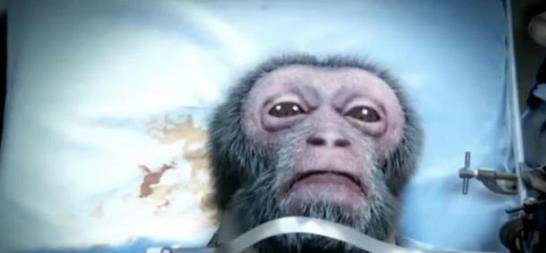 换头手术人活下来了吗 cfc3bc4287f3452696eb68e385bb0ce0.jpeg