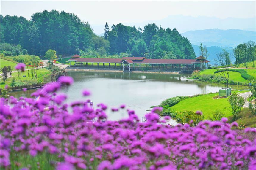 重庆消夏避暑一小时生活圈,隐藏在綦江的梦幻仙境,夏天美如画卷