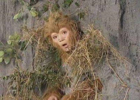 孙悟空|六大圣都无法踏足的五行山，为何送桃小孩能进去？你看他带了什么