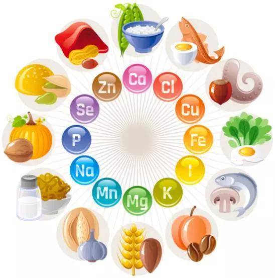 身体健康的6大关键因素，就在于营养素