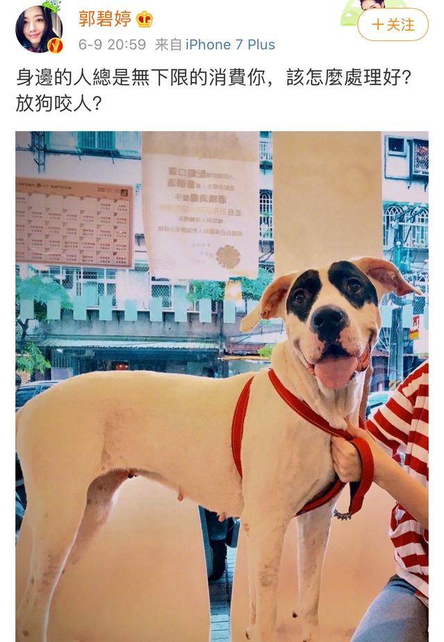 原创向太官宣郭碧婷怀孕,夫妻办婚礼一年却仍未领证结婚? 原创向太官宣郭碧婷怀孕,夫妻办婚礼一年却仍未领证结婚?