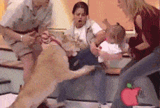 搞笑gif:谁赶紧去帮帮这个女司机,看着可怜人_妹子