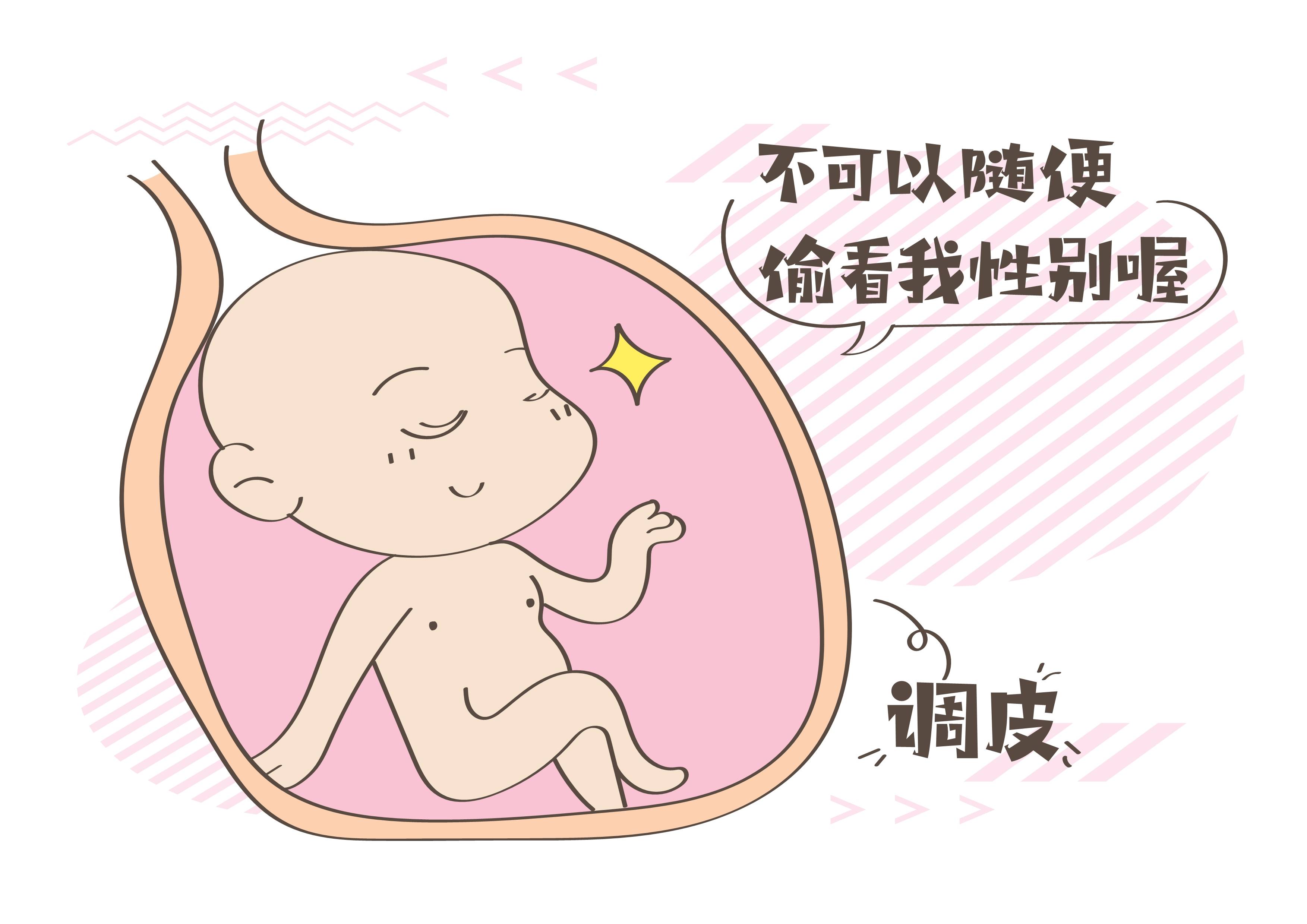 平面样式妊娠阶段与受精过程及胚胎发育的信息图。插画图片素材_ID:338680333-Veer图库