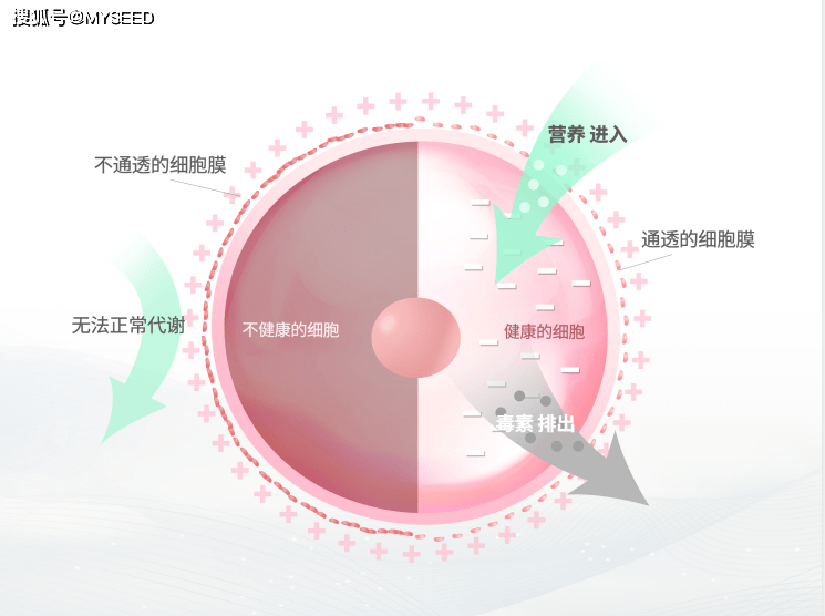 4d7526a30e864f6fb8f7ee27bc96509b.png
