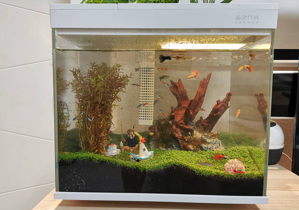 监测|哪种鱼缸更适合养鱼？画法几何AI智能鱼缸，水质监测还能自动喂食