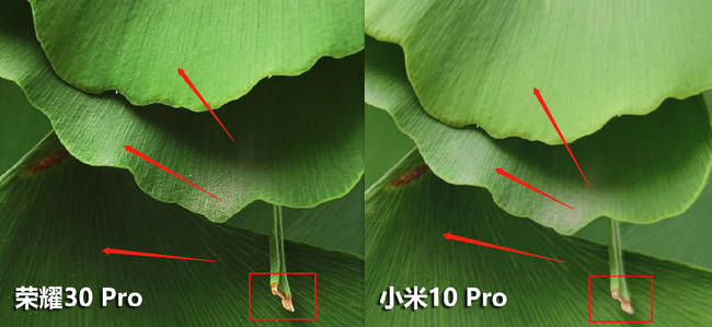竞技|一亿像素小米10 Pro和RYYB超大底荣耀30 Pro+同台竞技，拍照谁才是真Pro？