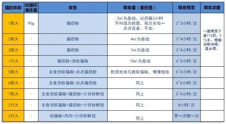 喵小小の详细攻略新手养猫准备工作下