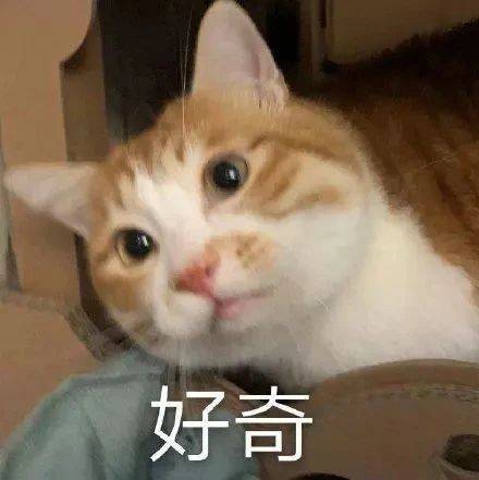 3da85513f182437a86495d27bc3262a1.jpeg