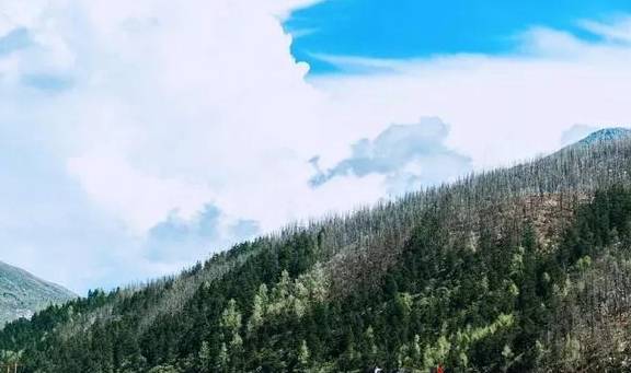 雅王村人口_雅王村六华坡