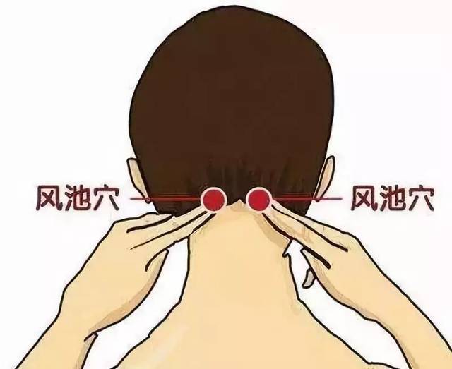 怎么能缓解肩颈疼痛 0ee92a583343432981469eb335498383.jpeg