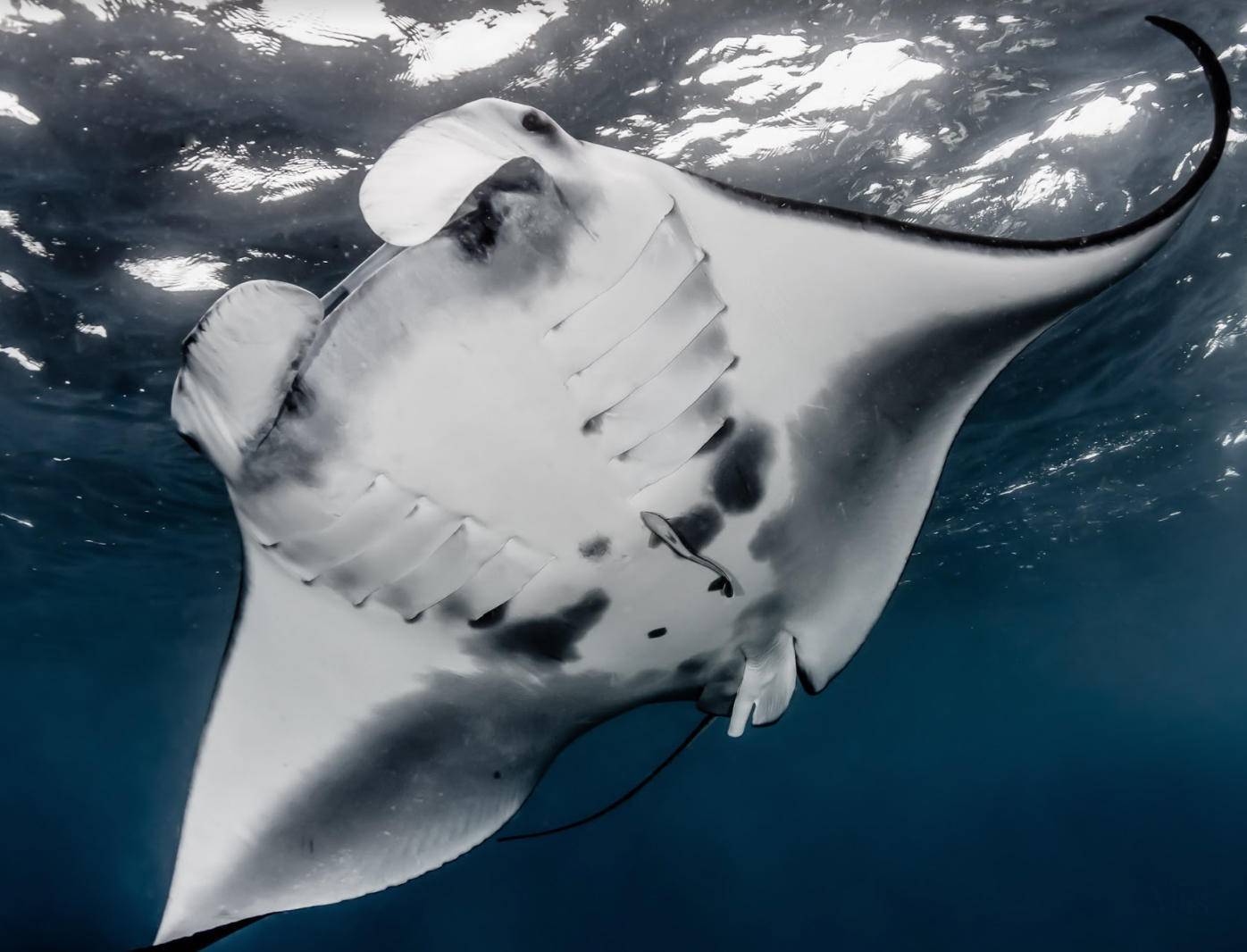 彩妆|捂好钱包!下半年彩妆界新品来啦,颜值高的让人实在是心动