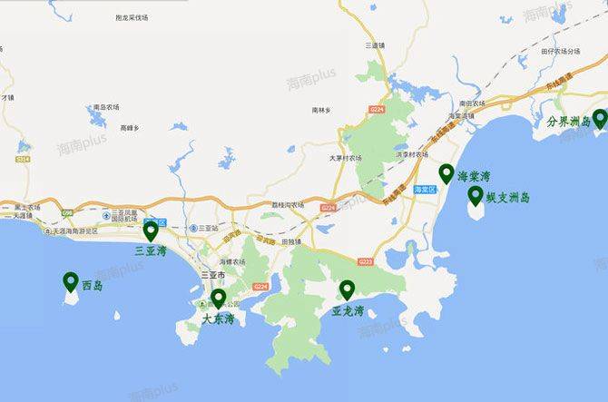 面朝大海该怎么选当湾区海景房的理想照进现实