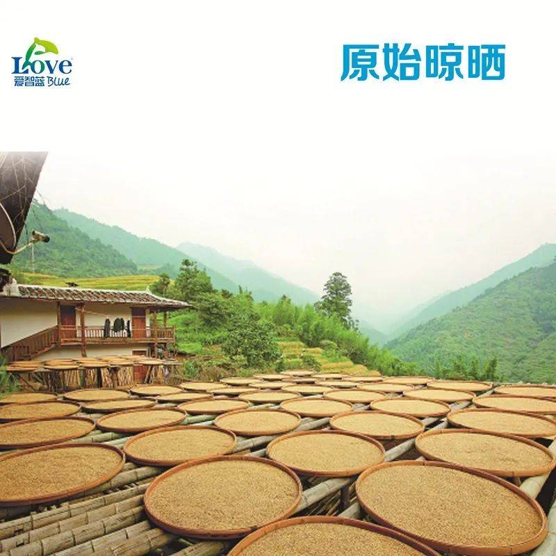 宝宝|能给宝宝吃吗？较真！有甜味的米粉