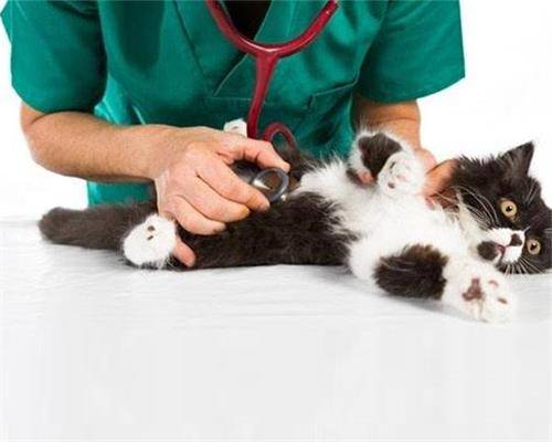 d6fae54fdc8847c4a751d89fc1ef8258.jpeg