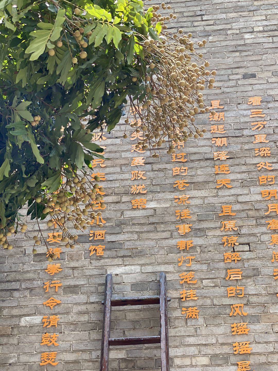 苏忠|在琴江小酒馆▏苏忠