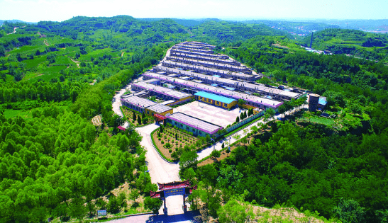 孝义市爱国卫生运动掠影