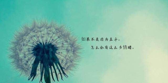 爱无止境曲谱_钢琴简单曲谱