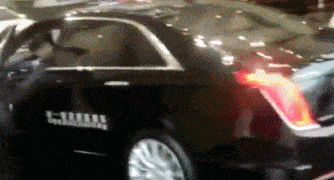 搞笑gif:你这一个表情让我看出来我该脱单了