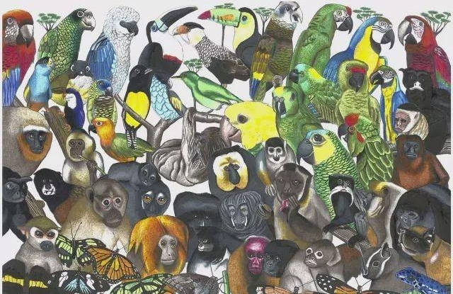 故事传记|3岁画画的自闭症天才，无需起稿画出400种动物，画出了另一个世界