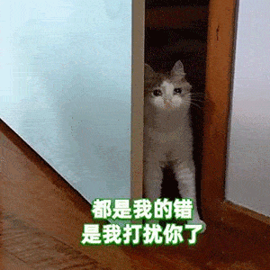 绿茶表情包都是我的错是我打扰你了