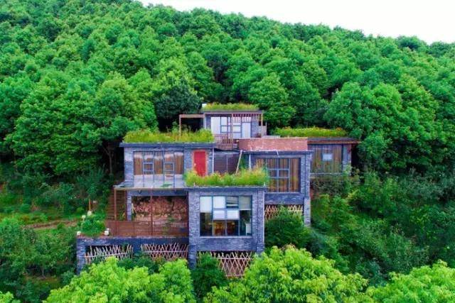 彭山|桃中极品，口口香甜彭山黄桃