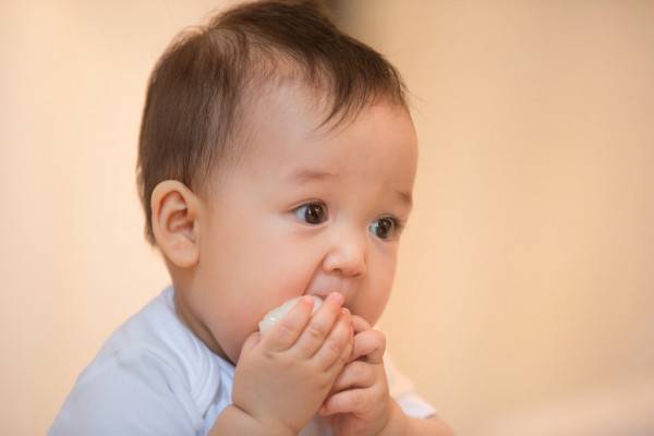 夏季如何合理的给宝宝添加辅食正确添加辅食技巧都在这