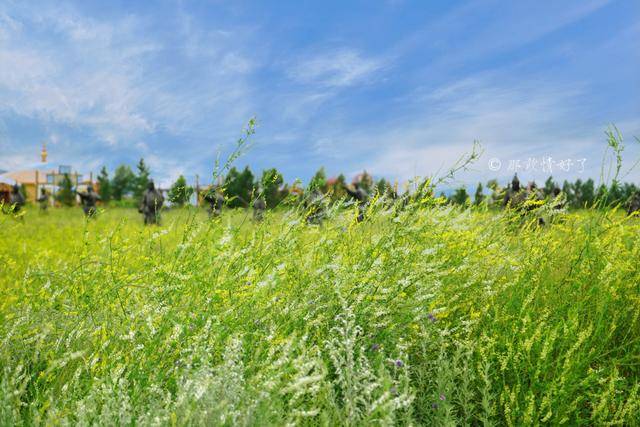 入主中原|建立横跨亚欧大陆强大帝国的铁木真，入主中原时屯兵练武的古遗迹