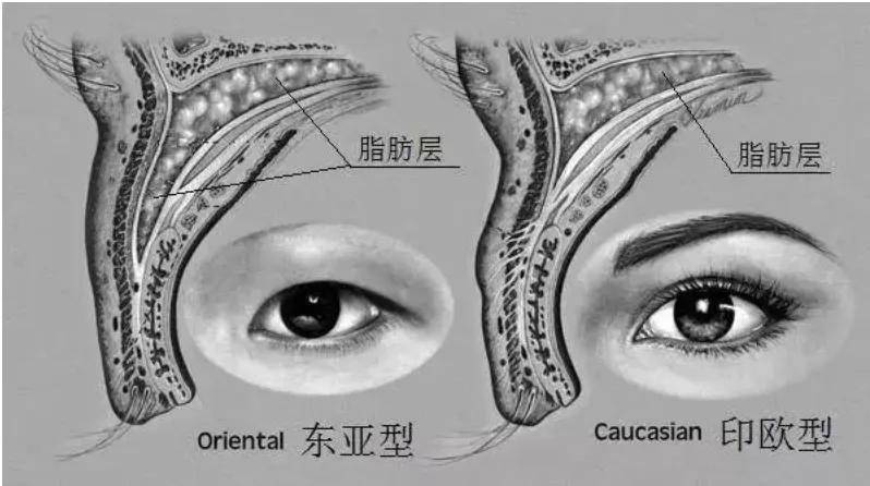 宁静|颜值最被低估的省份，专产混血清纯娇娇颜