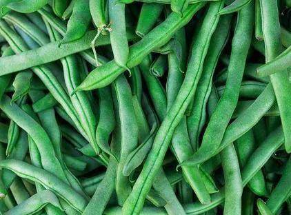 几月份种秋豆角最好 d49b0d9c26044db9af0bdedf9cdc0c46.jpeg