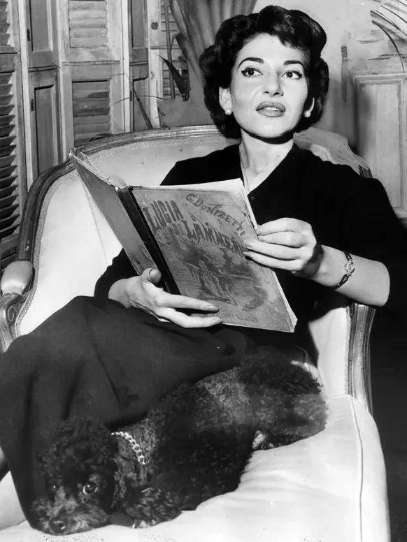 玛丽亚·卡拉斯|船王的情人，赫本的好友，这个200斤女人不简单！