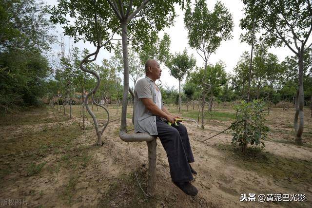 图片上这位农民大叔叫王广德,今年64岁,家住山东滨州市无棣县农村.