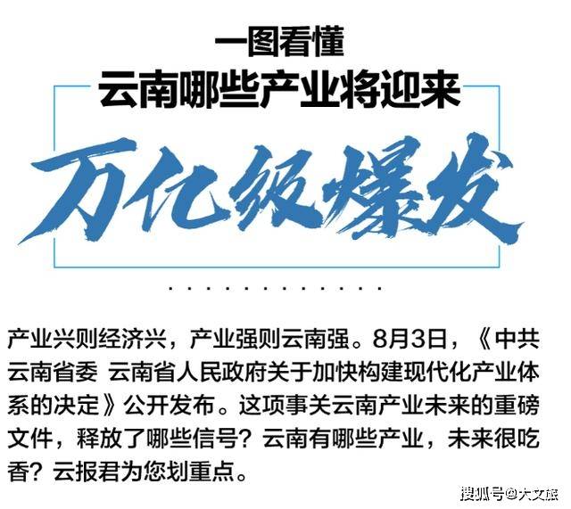 云南GDp2025_云南2020各市gdp(2)