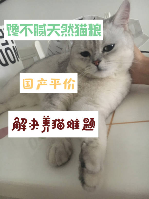 平价猫粮推荐2020 d7ee69be4da4433687fea758d2f567a6.jpeg