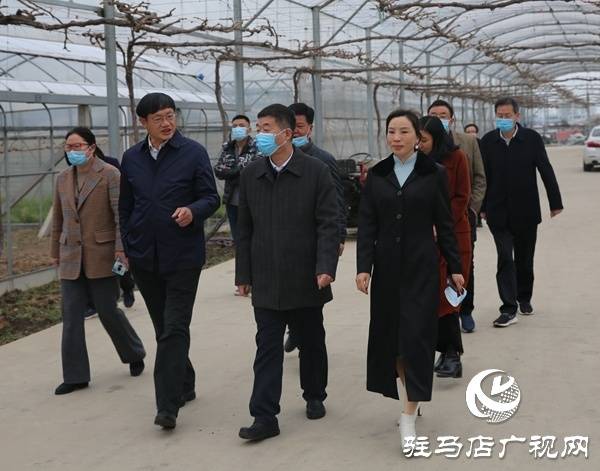 驻马店副市长刘晓文到杰美农业调研