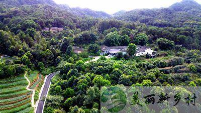 出租的这个院子位于重庆沙坪坝区曾家镇的虎峰山村,紧邻重庆大学城