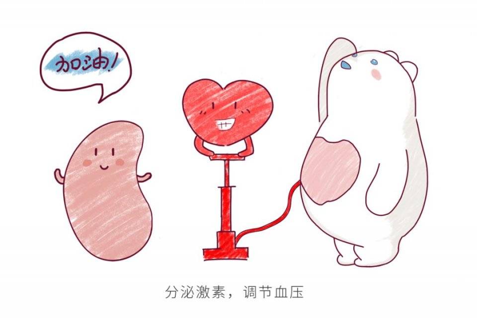 宝宝|请远离这几个坏习惯……为了保护肾宝宝