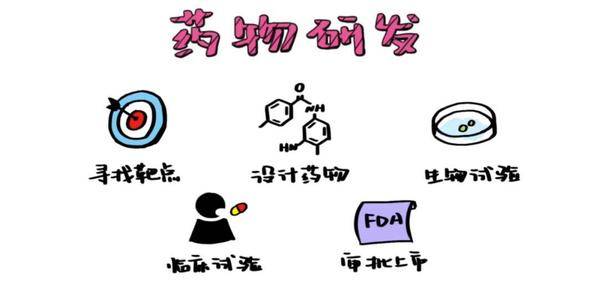 自发性|乙肝新药开发难点，需符合2项特殊条件，自发性血清转化可能吗？