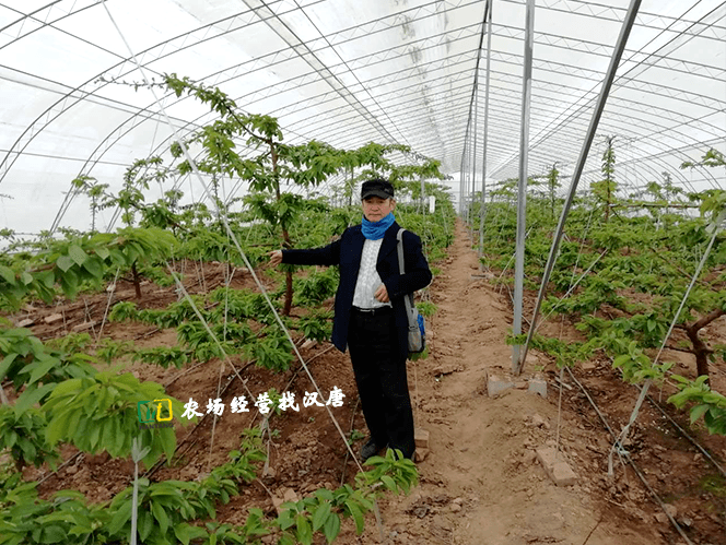新闻农业图片大全_农业图片新闻_中国农业新闻网/