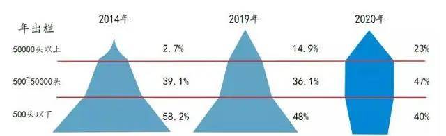 见闻记录|这一次，从养猪开始，将传统农业重做一遍