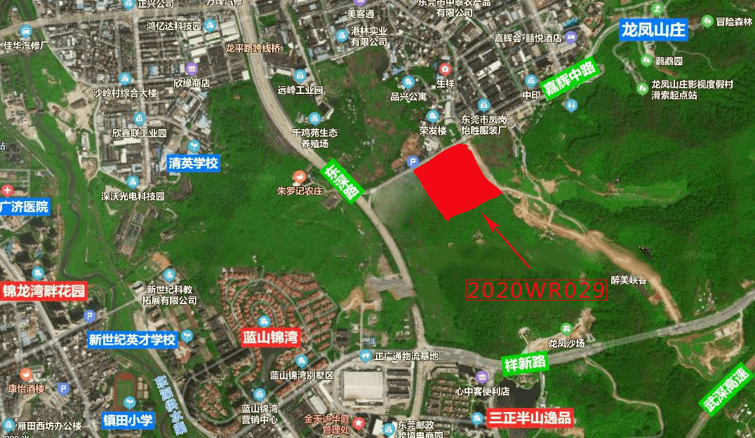 凤岗镇GDP2020年_2020-2021跨年图片