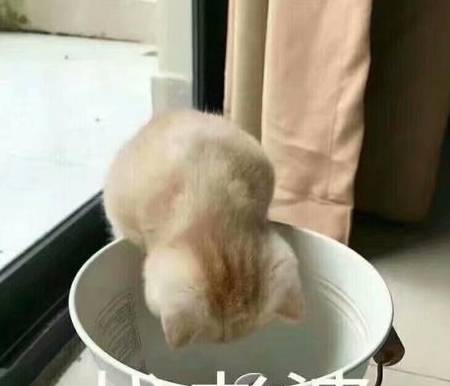 6f27427c4d624143a94b5d9493fc1eac.jpeg