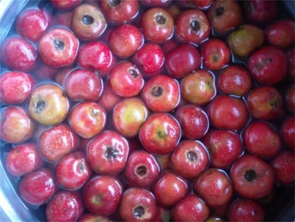 苹果加山楂煮水有什么作用 e61a2fc05f774294b04e209ec181e519.jpeg